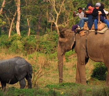 Chitwan Jungle Safari